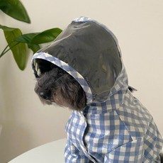 봉쥬르뚜뚜우비