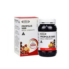 호주 프로폴리스 5000mg 마더네스트 면세점 고함량 250정