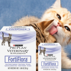  퓨리나 반려묘 고양이 유산균 프로바이오틱스 파우더 가루 분말 30포, 2개 