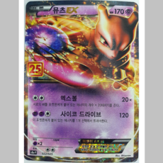 포켓몬25주년카드