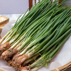 아맛 흙쪽파 상품, 1개, 3kg