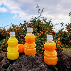 [제주랑 해녀나라] 한라봉 감귤 천혜향 청귤 100프로 리얼 착즙액 주스 320ml x 10 키즈 쥬스로 인기, 제주랑(상온제품), 청귤10개
