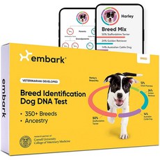 dna테스트