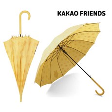 카카오프렌즈여행용