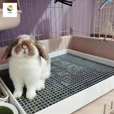 배변판 반려 동물 토끼 화장실 특 토끼대형화장실 기니피그, 1개
