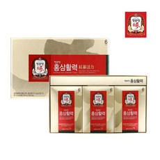 정관장 홍삼활력 40ml x 30포 6년근 녹용추출액 겨우살이추출물 홍삼농축액 +쇼핑백, 1개
