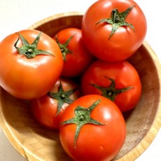 완숙 토마토 스마트팜 당일수확 산지직송 3KG 5KG, 1개, 5kg(주스용/사이즈랜덤)