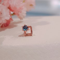 골든듀귀걸이신상