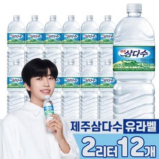삼다수2l TOP01