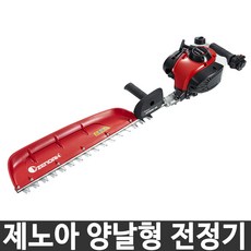 제노아전정기