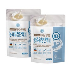 내추럴박스 농축 유청 단백질 분말, 500g, 2개