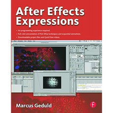 After Effects 표현, 단일옵션