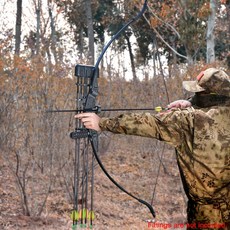 30lb/40lb Recurve Split Bow 주제 소개 성인 2020 Hunting Bow 대상 양궁 테이크 다운 Longbow Entertainment Darts|다트|, 1개, Recurve bow 40lb