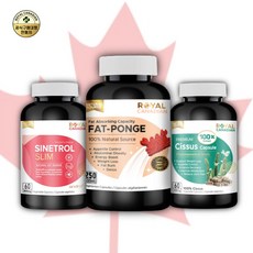 로얄캐네디언부스터