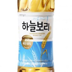 하늘보리 웅진식품 실온 500ml, 1개, 1개, 1개입