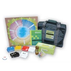 스피릿핑거스세트(10-13권)(전4권)