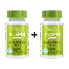 보스웰리아 보스웰릭산 고함량 65% 1 000mg 120정 2통, 1개, 단품