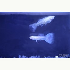 ca25bd0a7464e3893d3310cb82210337c91ec0cdaf2d60551d91218d2f39.jpg