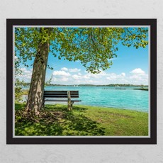 금나무그림시트지