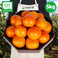 푸릇푸릇 2020년 햇 부유 단감 땡감 배단감 5kg 10kg, 5kg 특대과 (15개내외)