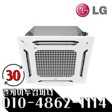 LG전자 인버터 냉난방기 천장형 듀얼베인 30평형 TW1100A9SR 냉온풍기 기본설치+진공포함