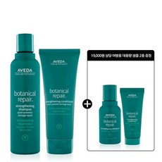 아베다보태니컬리페어헤어케어세트