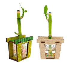 생명과학콩나물키우기