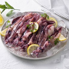 자연산 급냉 총알 한치 1kg(500gx2팩), 1개, 1kg 수산물/건어물