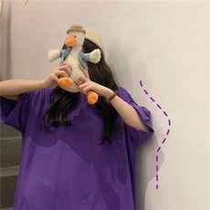 슈퍼개미배진한