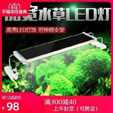 e3b095cd5a93174dcbb499e591abcd01327db27812f99c74afadbe45e961.jpeg