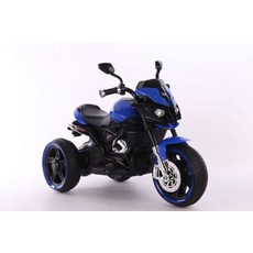 이보크전동푸쉬카