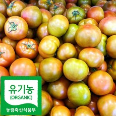 산지직송 국내산 친환경 동양종 찰 토마토, 1박스, 3kg