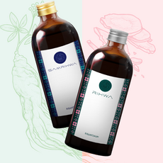 그린스프링 국산 프리미엄 산삼 쌍화차 한방차 500ml 부모님선물 명절선물, 리화 쌍화차 500ml