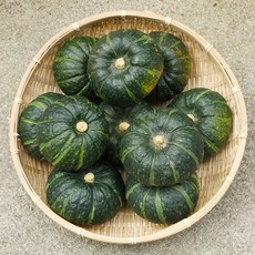 제주 미니 밤호박 단호박 보우짱 최상품 1박스, 3kg (로얄과, 4 ~ 9과), 1개
