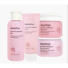 추천7제주도벚꽃