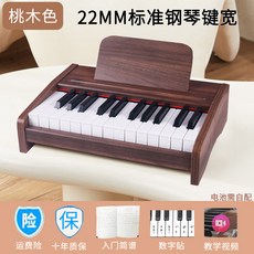 미니키보드 KORG 건반 어깨 키보드 미니 교육용 폴더블 미니피아노, 1 배터리 25키 피치, 1개