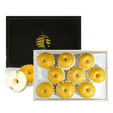 나주배스테비아급