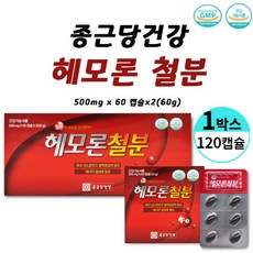 빈혈철분제추천