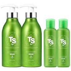TS 뉴프리미엄 TS 샴푸 500g x 2p + 140g x 2p, 1세트