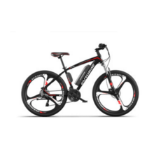 유로바이크 CBK-AME005 PAS 기능 알루미늄 전기자전거 전기mtb, 10A