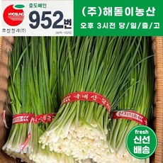 해돋이농산 깐쪽파 1단 2단 3단 5단 10단, 5단(5kg내외), 1개