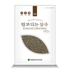 22년 검정보리 1kg 2kg 4kg 10kg 블랙보리 검정보리 검은보리 흑보리 국내산 햇곡, 1개