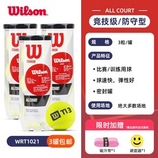 윌슨식스원라이트