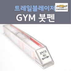 쉐보레 트레일블레이저 GYM 새틴스틸그레이 167 붓펜 자동차 차량용 카 페인트, 8ml, 1개 - 트레일블레이저붓펜