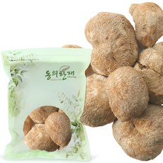 동의한재 국산 말린 건 노루궁뎅이버섯 건조 100g, 1개