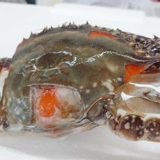 몽당꽃게