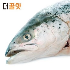 없음 구이용 연어턱살 가마살 연어특수부위, 1개, 05_연어머리 2팩 1kg