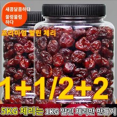 1+1 말린체리 건체리 말린체리칠레산 무설탕 건체리100% 체리, (1+1)캔/총0.5kg, 1kg, 2개