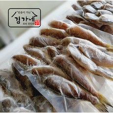 목포파조기