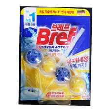 빌링햄브리프